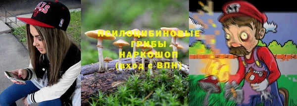 Альфа ПВП Беломорск